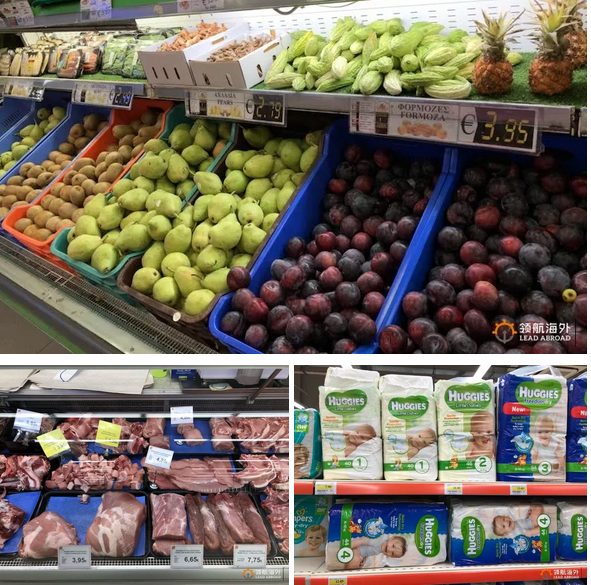 悦游移民代表团实地考察塞浦路斯、希腊